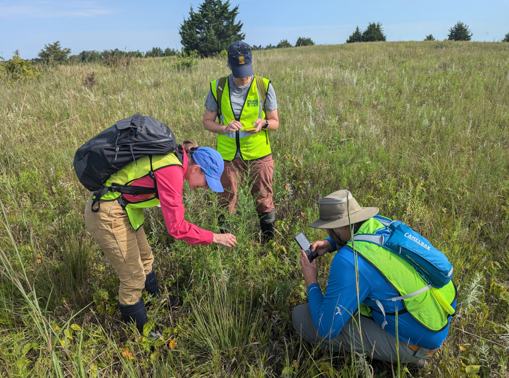 Intern surveys with ecologists