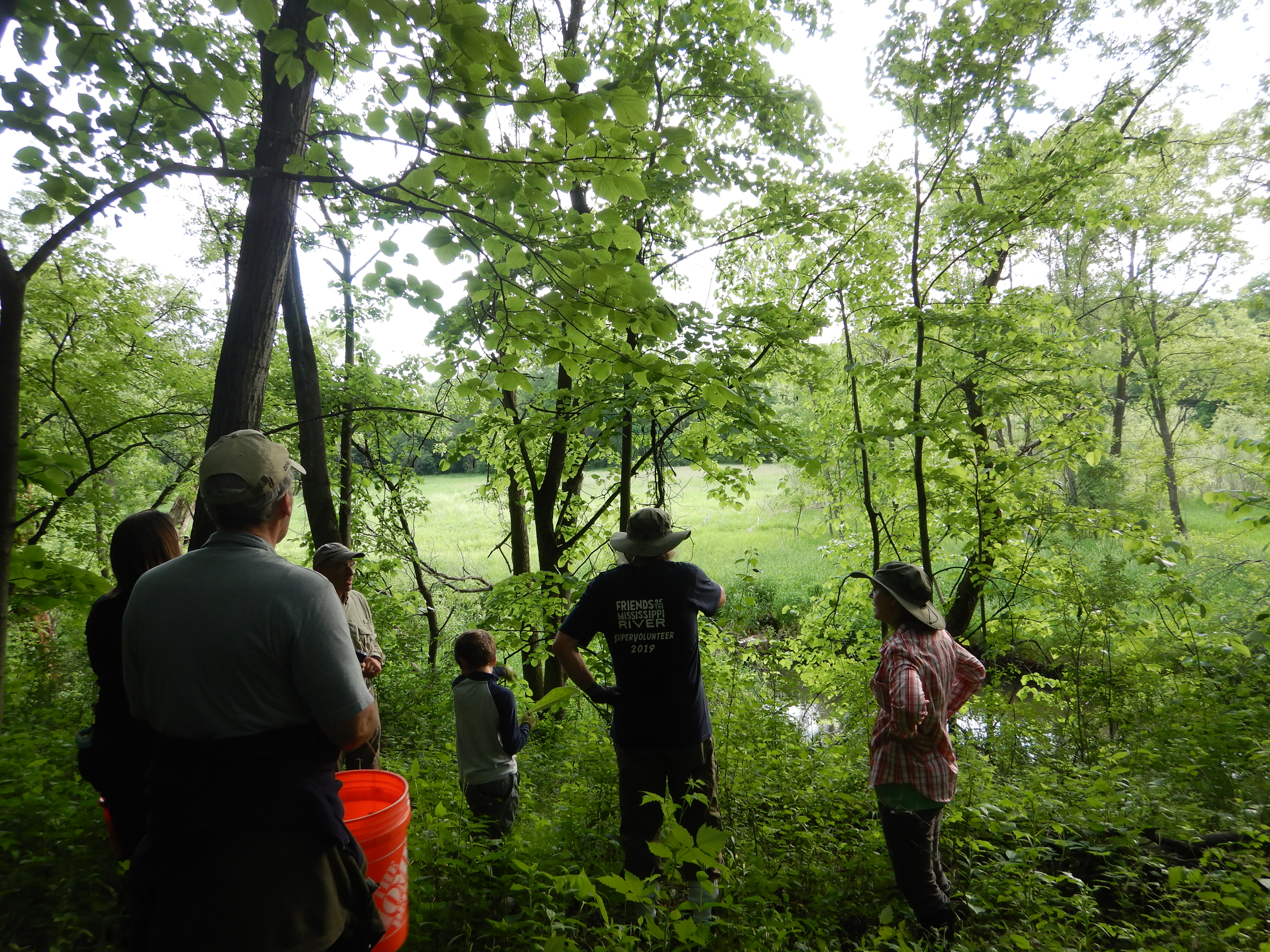 Volunteers in a lush and wooded area