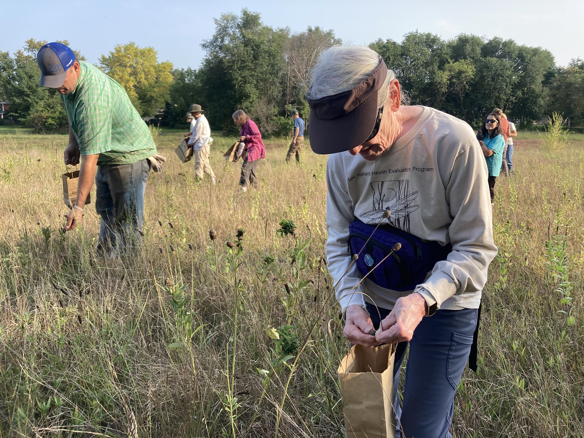 Volunteers collect native prairie seed at Vermillion River Linear Park