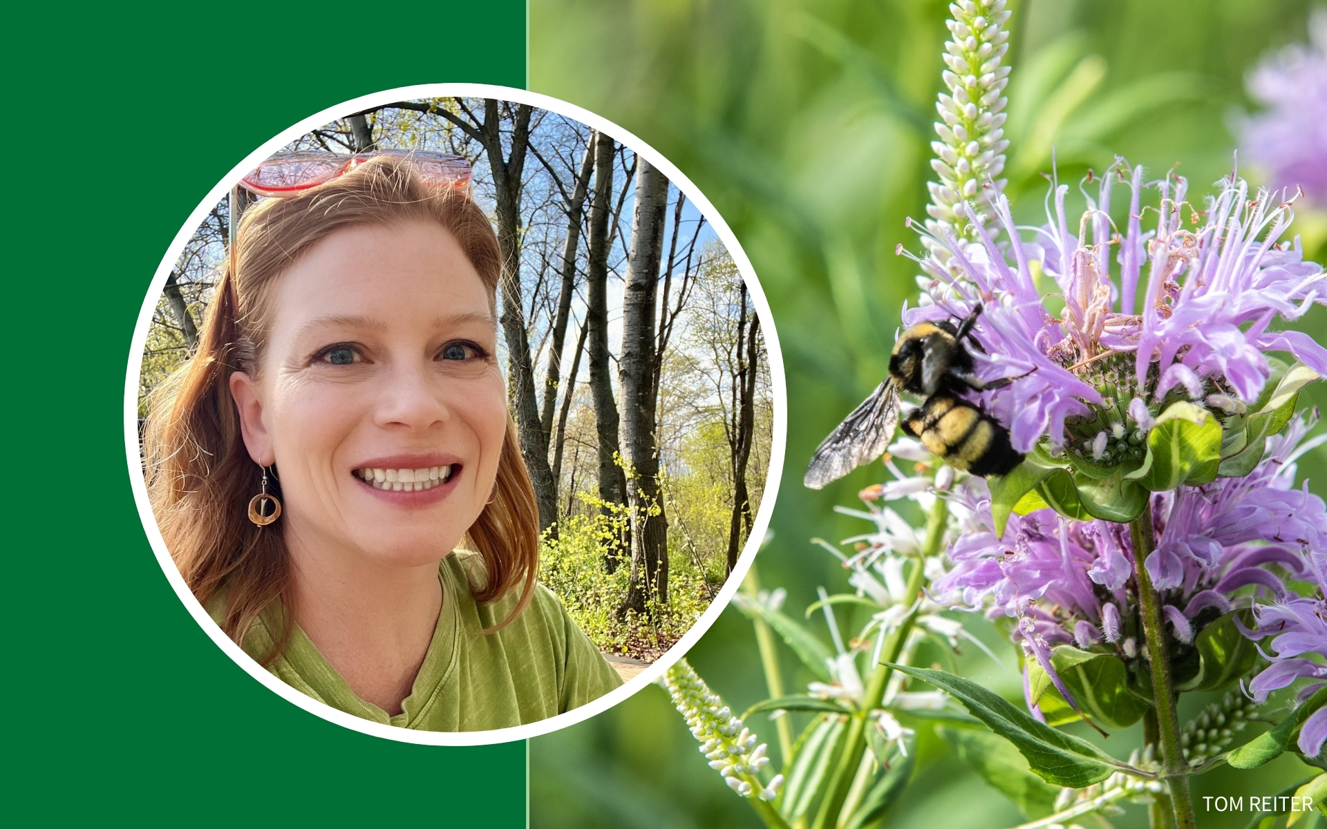 Angie Hong portrait plus a bee on bee balm