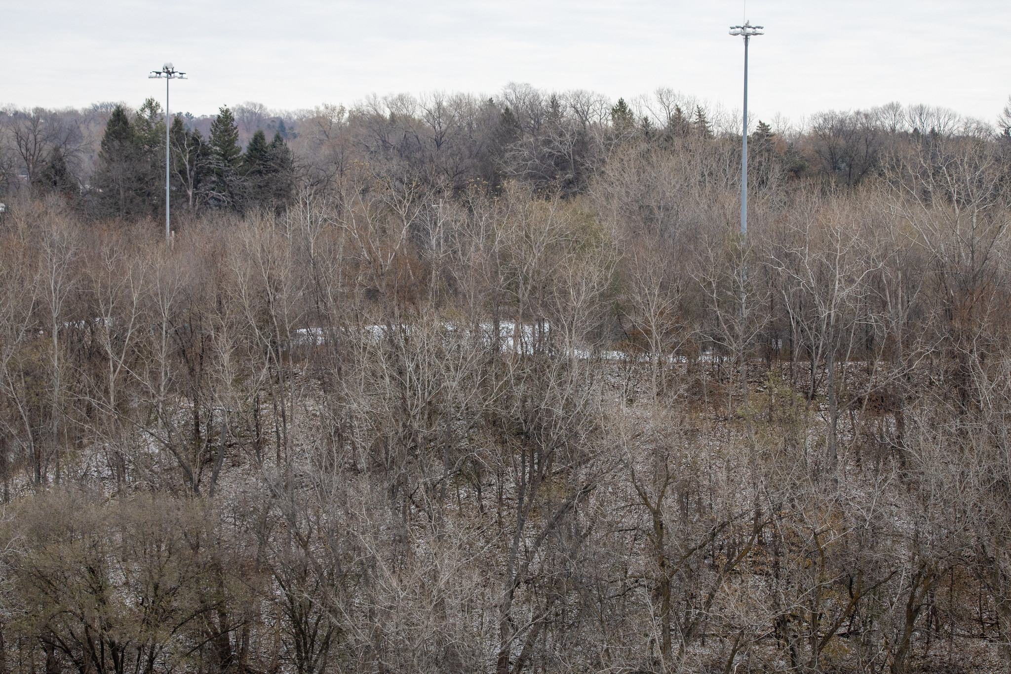 Ford Area C: trees on hill and concrete cap