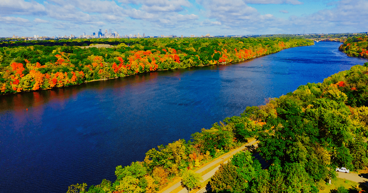 River with forest on either side