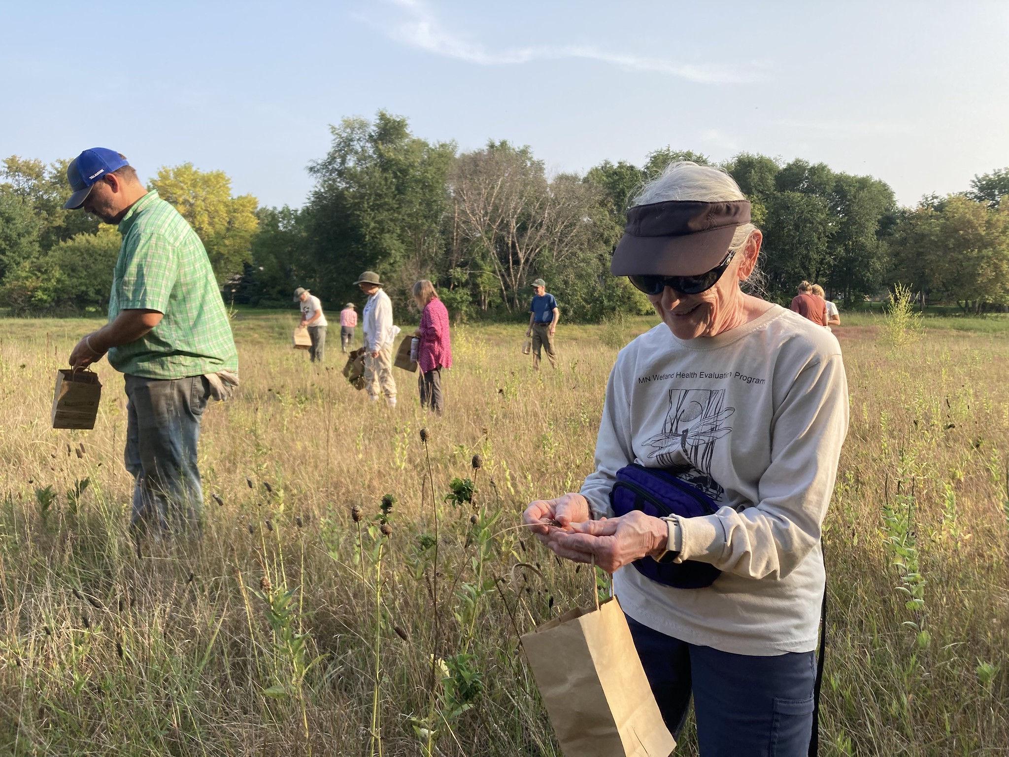 Volunteers collect seed in the protected prairie