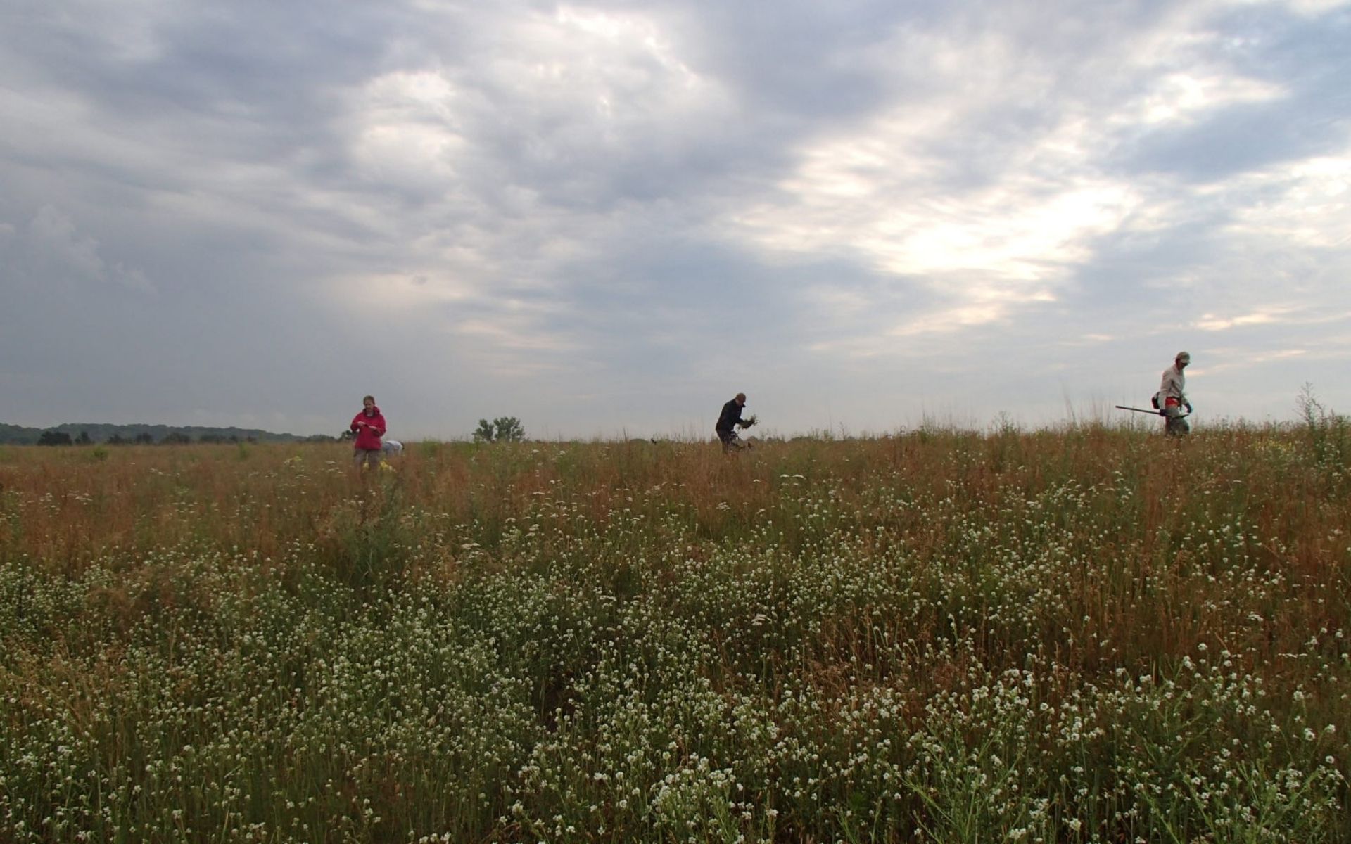 Volunteers at the Hastings Sand Coulee SNA