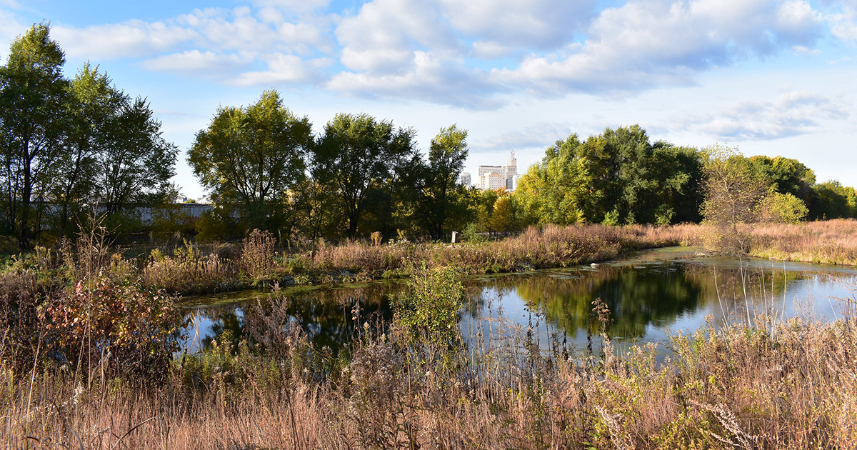 St. Paul skyline past pond and prairie and trees