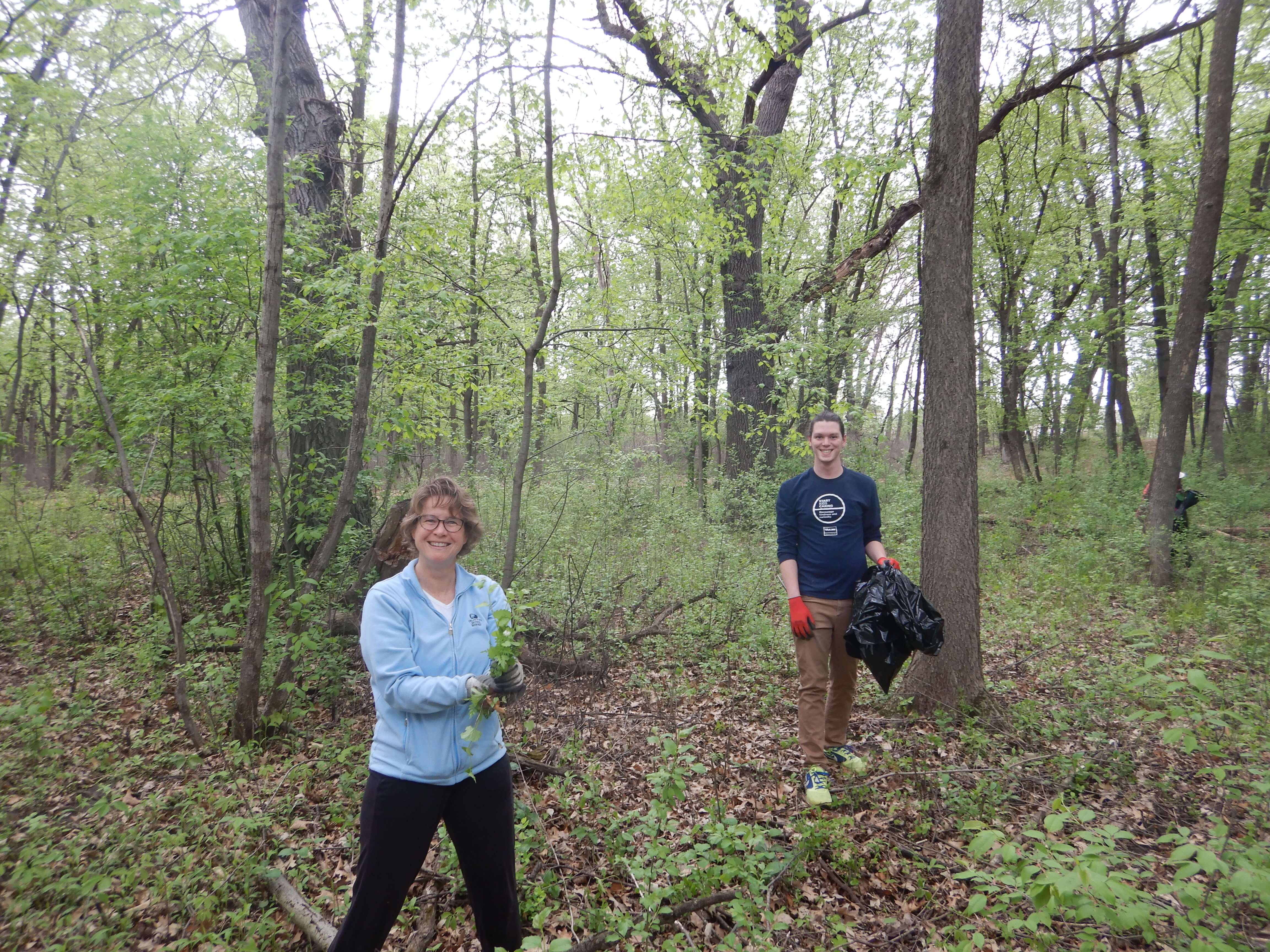 We'll be back to pull garlic mustard (and more) in no time!