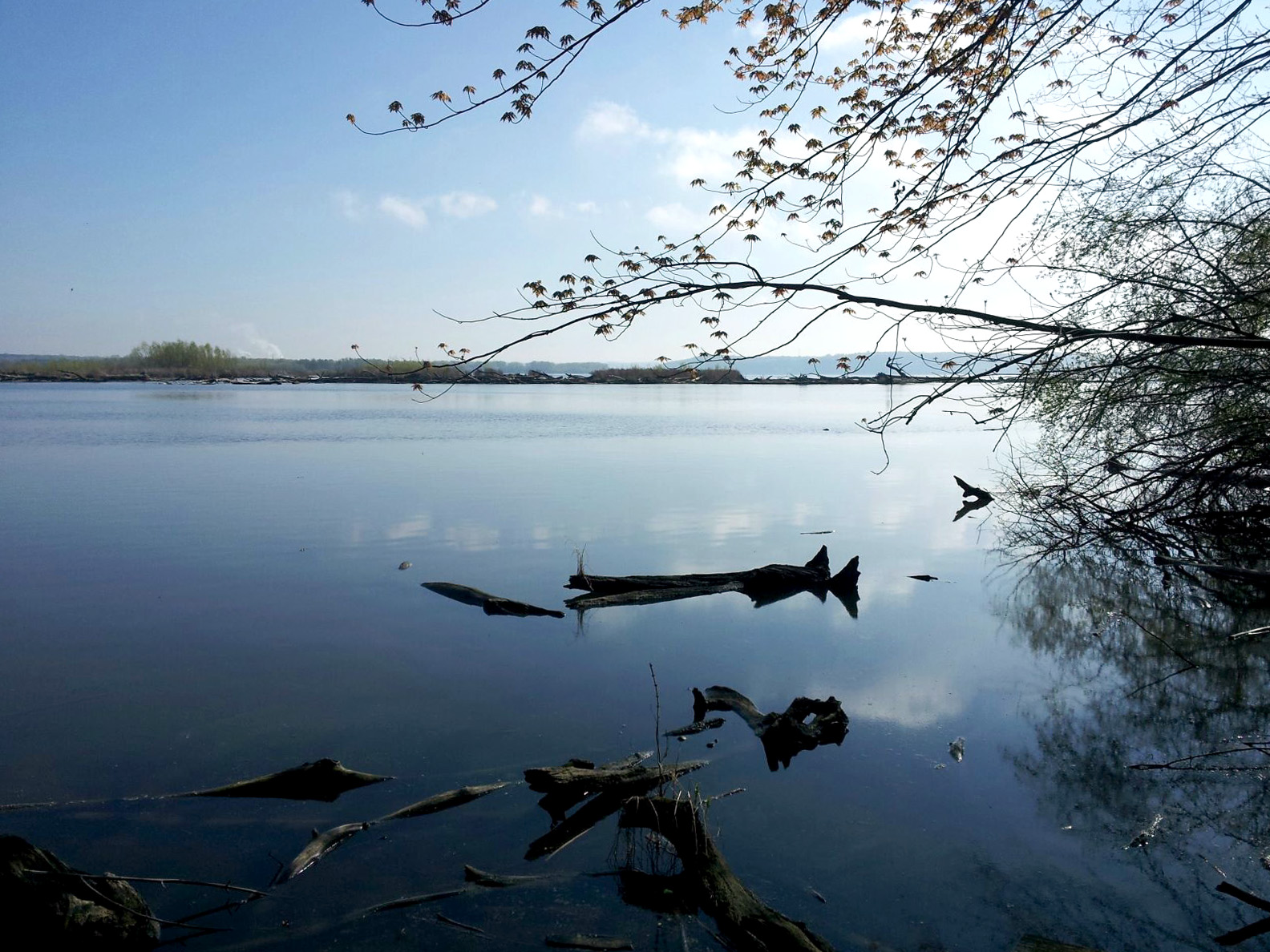 River with islands in the distance