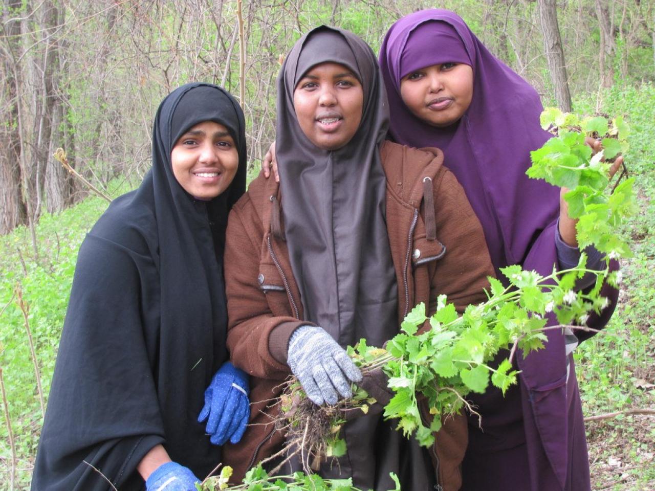 Volunteers removing garlic mustard