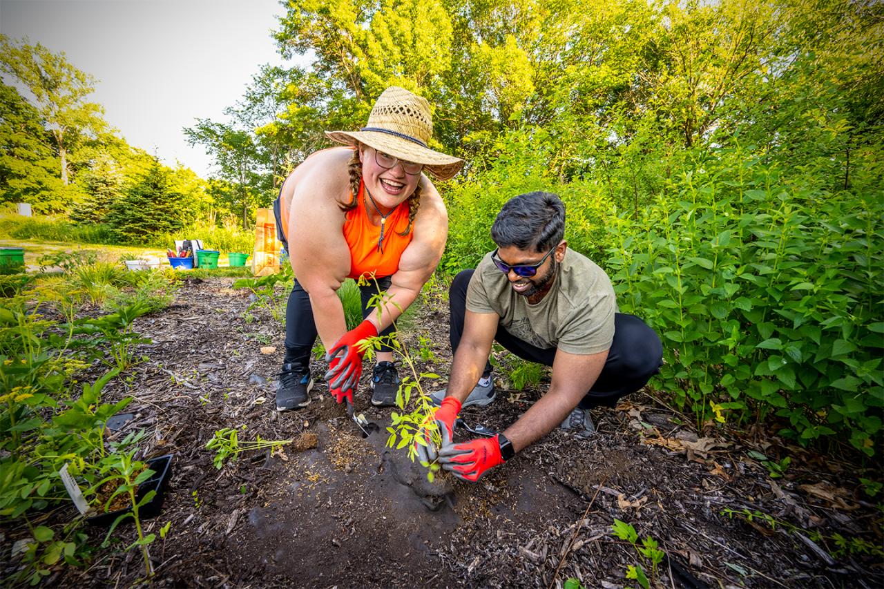 Volunteers planting at Camel's Hump Park in 2021