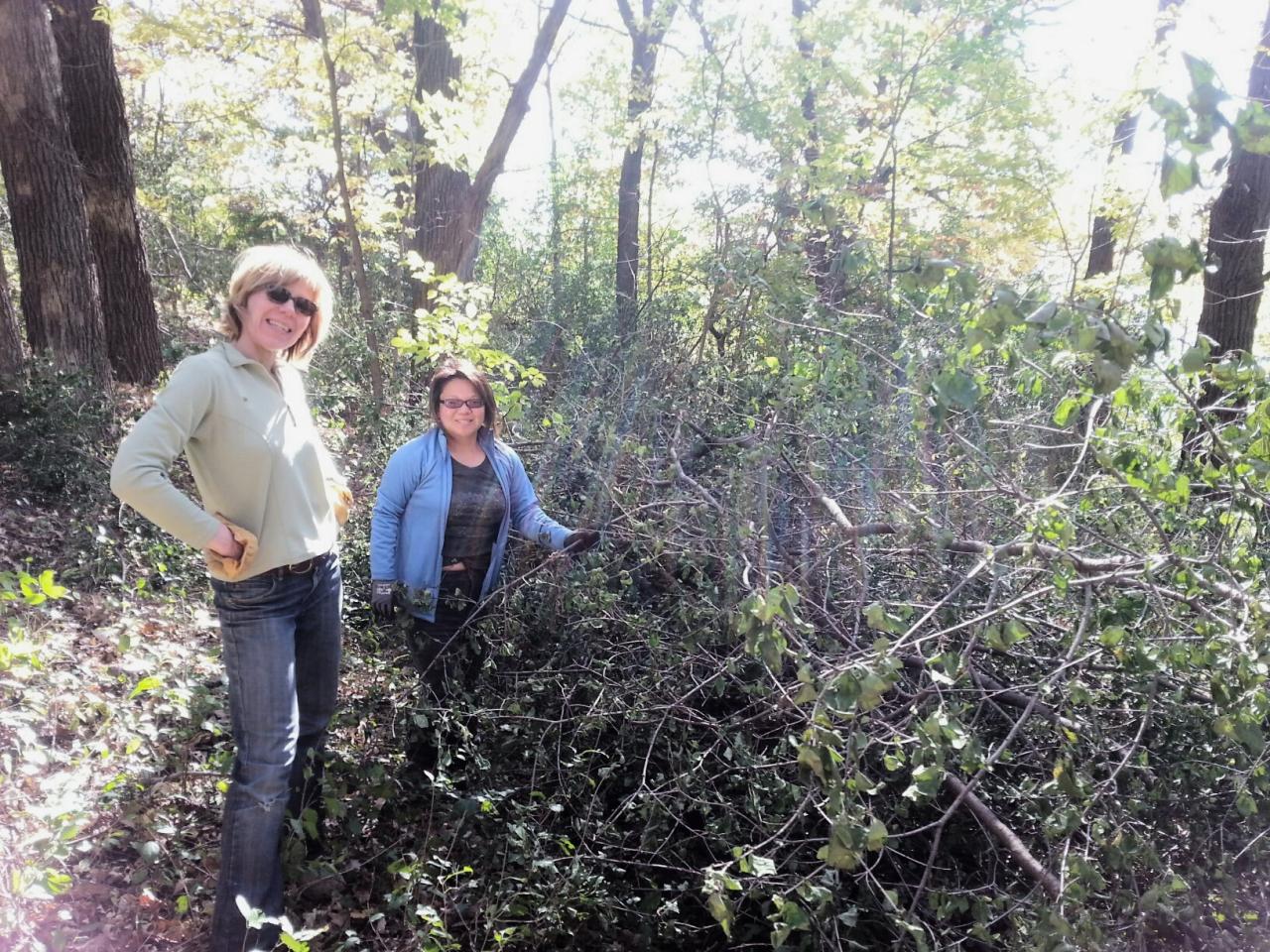 Brush haul volunteers at 3M Cottage Grove