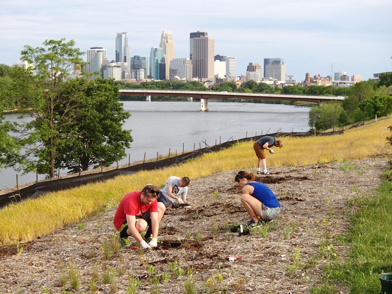 Ole Olson Park volunteers planting showy prairie species