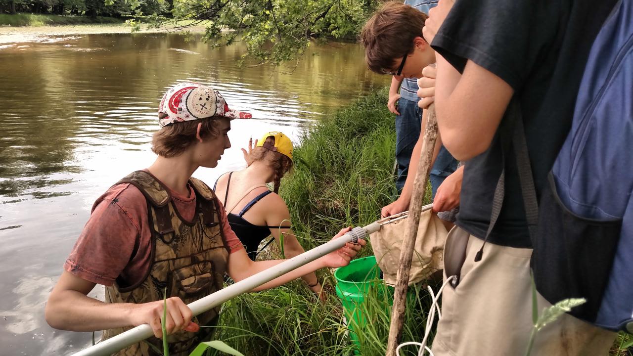 Gathering invertebrates, indicators of water quality