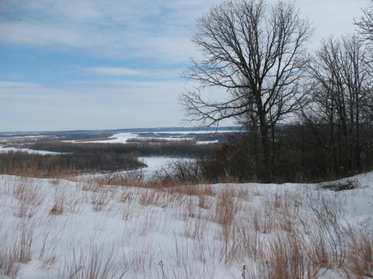 Snowfall at Pine Bend Bluffs Scientific and Natural Area.