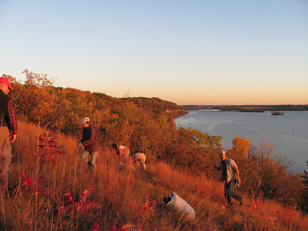 Volunteers on the prairie bluff at River Oaks Park