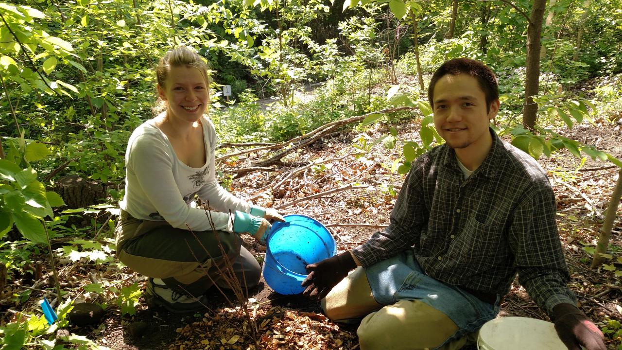 Volunteers planting native shrubs along the River Gorge