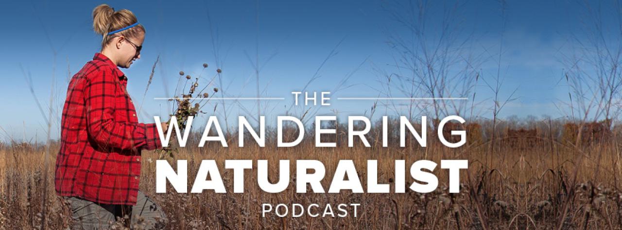 Wandering Naturalist