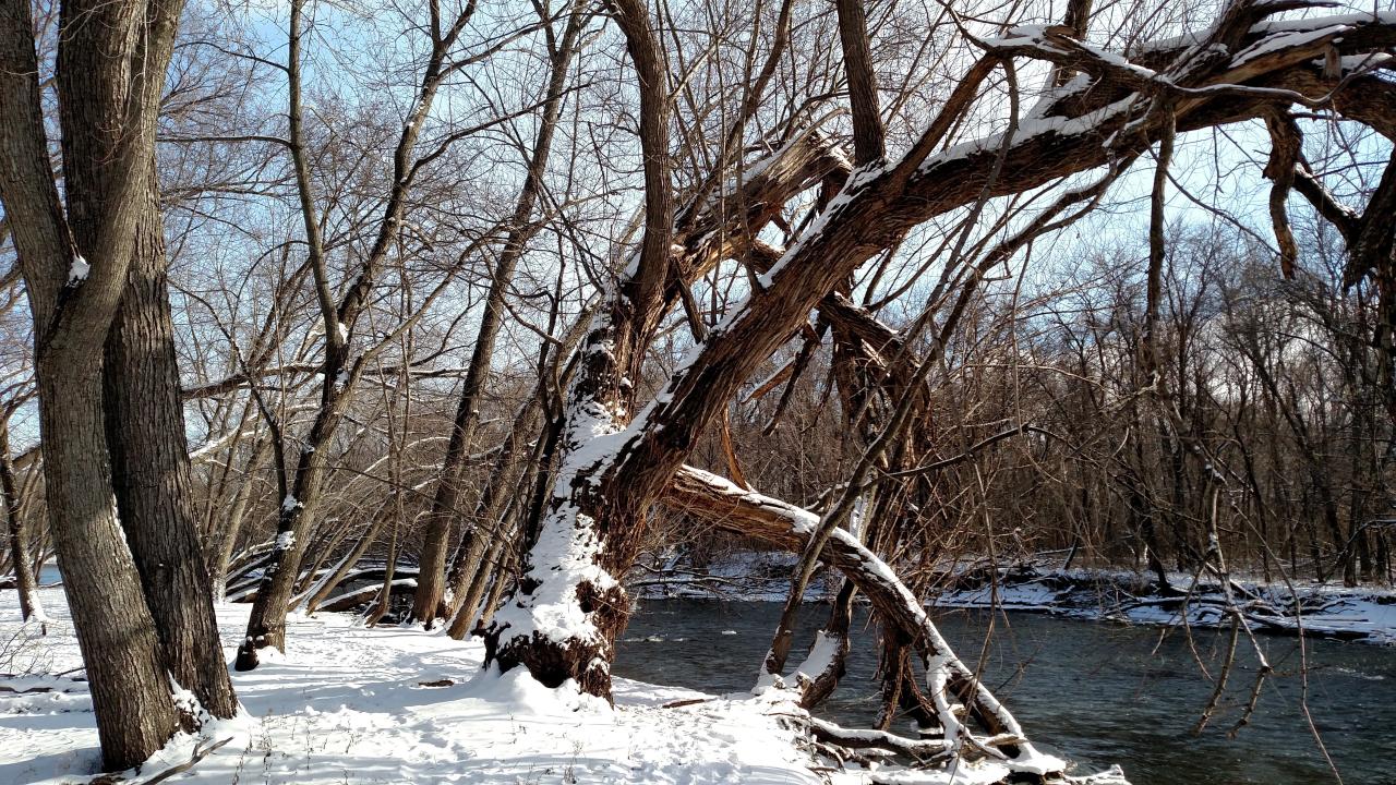 Winter river landscape at Houlton Farm