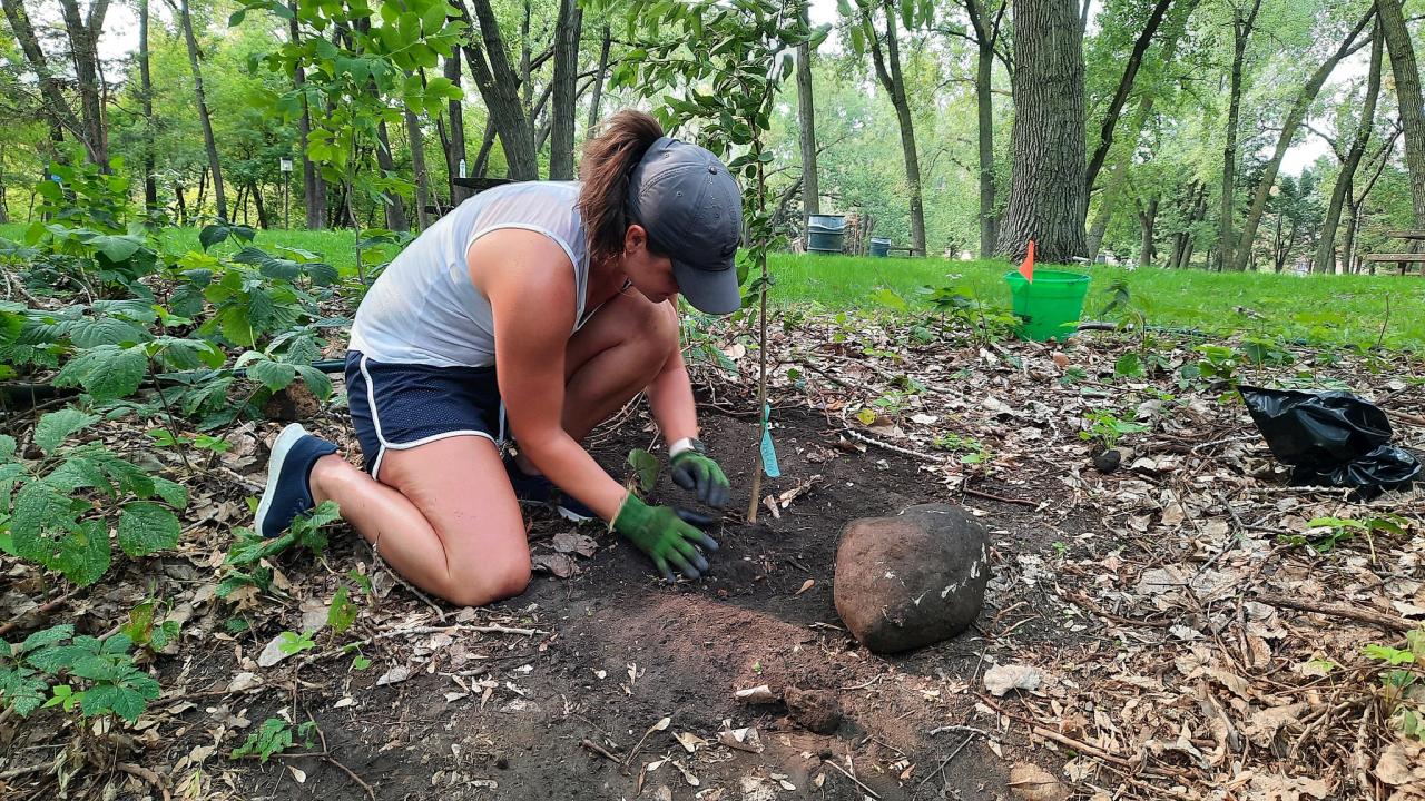 Volunteer plants a tree at James Rice Park