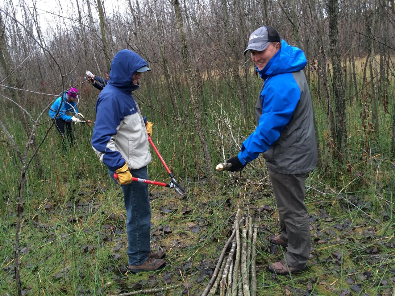 Volunteers preparing live-stakes