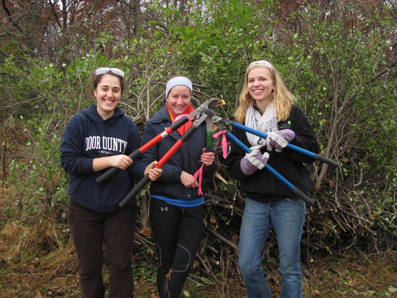 Three volunteers with loppers ready to tackle buckthorn