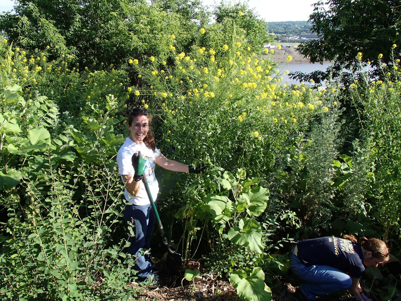 Volunteers working at Mounds Park