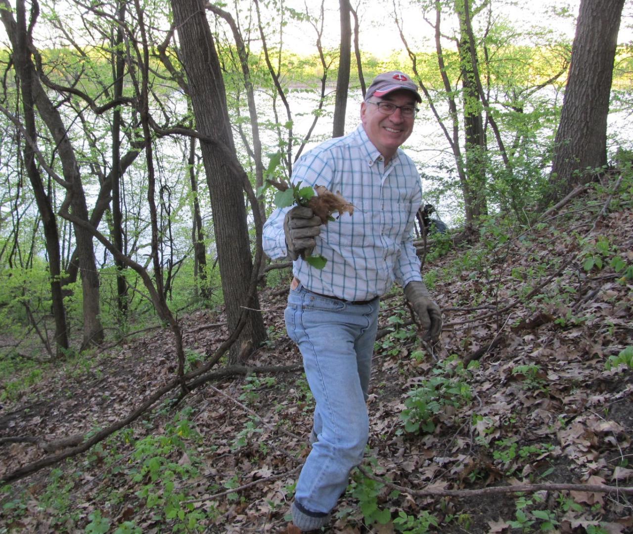 Volunteer removing garlic mustard at Pine Bend 