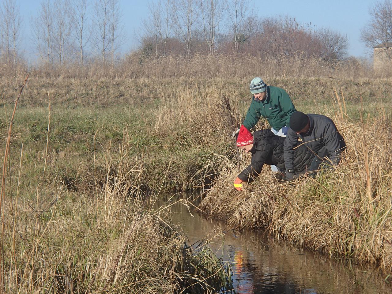 Planting  along the river banks