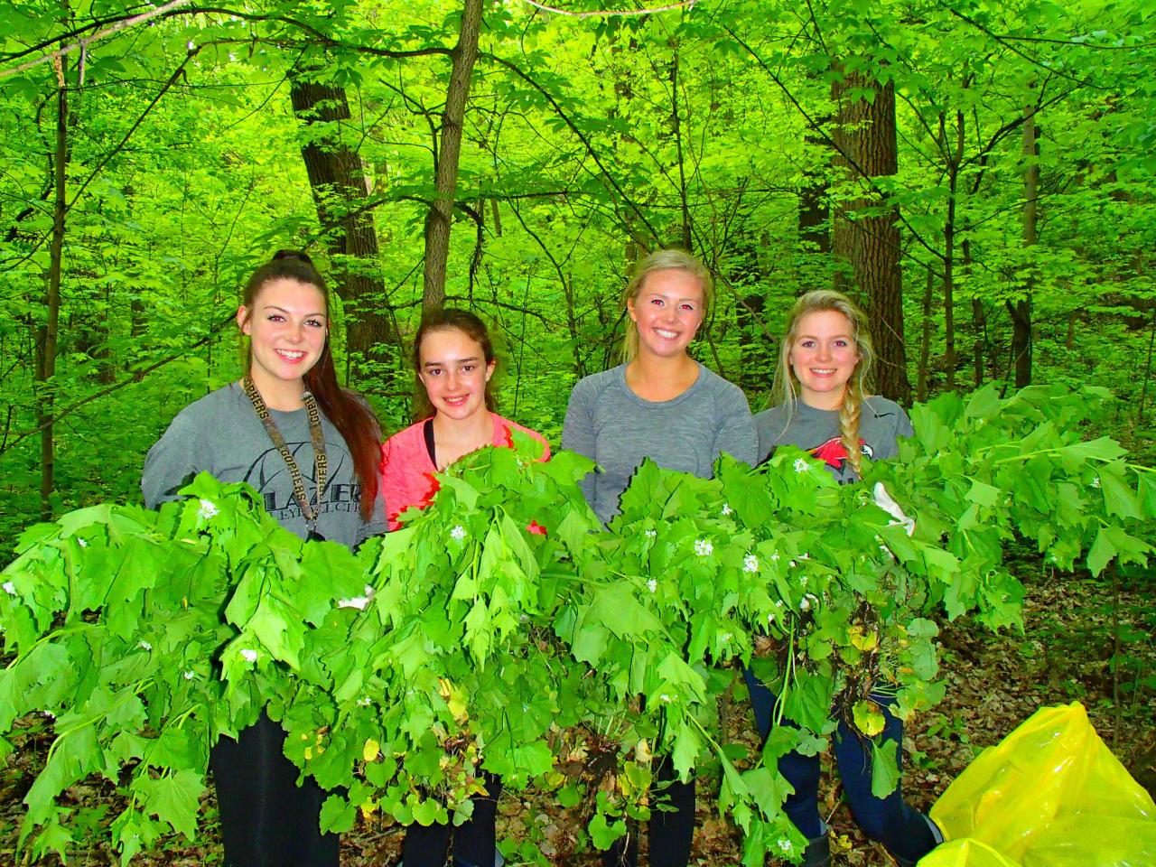 Volunteers holding garlic mustard at the Sand Flats