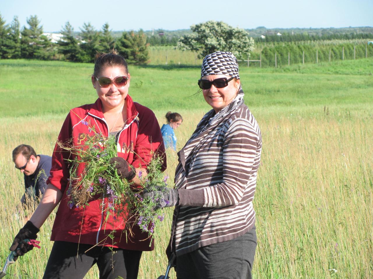 Volunteers tending the rare prairie at the Sand Coulee SNA