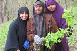 Volunteers removing garlic mustard