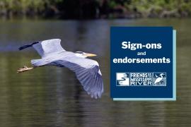 A blue heron flying over water. A text overlay says "Sign-ons and Endorsements." The Friends of the Mississippi River logo is beneath the text.