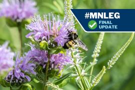 Native plants and bee + text "#MNLEG Final Update"