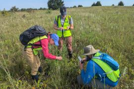 Intern surveys with ecologists