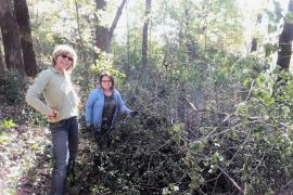 Brush haul volunteers at 3M Cottage Grove