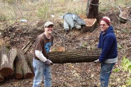 Volunteers helping each other with a large buckthorn log