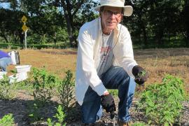 Volunteer tending Old Mill Park