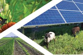 AgroEcology Summit: Butterflies, Bluegreens, Kilowatts & Calories