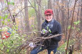 Volunteer hauling buckthorn