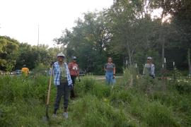 Volunteers tend the prairie at Crosby Farm Park