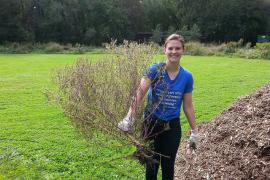 Clare shows off the large ragweed plant she pulled out of the native planting at Crosby Farm Park. 