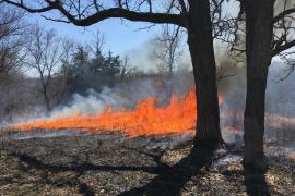 An April prescribed burn rolls through a blufftop prairie at the Flint Hills Pind Bend Bluffs property.