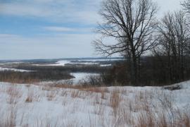 Snowfall at Pine Bend Bluffs Scientific and Natural Area.