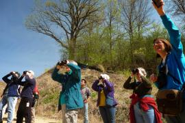 Bird hike at a restoration site