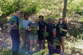 DeLaSalle High School Green Team volunteers