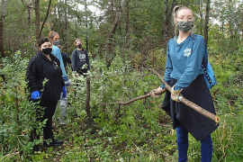 Four youth volunteers stand in a wooded area holding a large buckthorn branch.