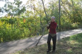 Volunteer hauling buckthorn brush