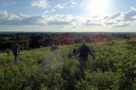 Volunteers protecting Grey Cloud Dunes