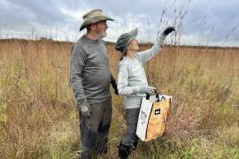 Two volunteers collect prairie grass seeds