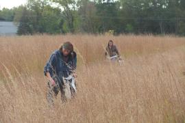 Volunteers collecting native seed at Heritage Village Park