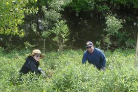 Two volunteers pause while planting shrubs to smile at the camera.